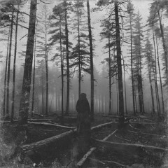 Unfortunate Cemetery Business (ft. WhiteWitch) [prod. akvri & nightrdd]