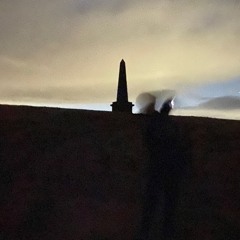 town lurking forest widower