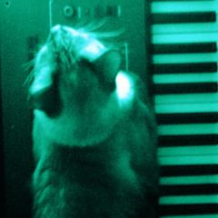 08 - Cats on Kraftwerk