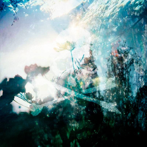 руководитель