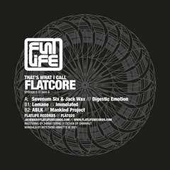 Various Artists - That's What I Call Flatcore [Flatlife Records]
