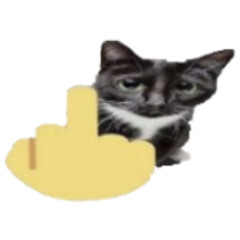 ·̩̩̥͙＊*•̩̩͙✩•̩̩͙*˚˚*•̩̩͙✩•̩̩͙*˚＊·̩̩̥͙·̩̩̥͙＊*•̩̩͙✩•̩̩͙*˚˚*•̩̩͙✩•̩̩͙*˚＊·̩̩̥͙·̩̩̥͙＊*•̩̩͙✩•̩̩͙*˚˚*•̩̩͙✩•̩̩͙*˚＊·̩̩̥͙·̩̩̥͙＊*•̩̩͙✩•̩̩͙*˚˚*•̩̩͙✩•̩̩͙*˚＊·̩̩̥͙·̩̩̥͙