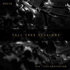 Tall Tree Sessions #18 - Ilex Aquifolium  (Prog-House | D&B | Techno)
