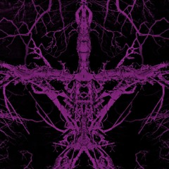HÄXXÄN - BLAIRWITCHWOODS