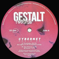 Cybernet - Druid (GST28)