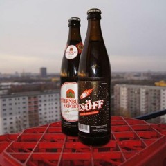 Sterni im Magen