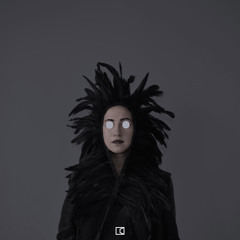 PREMIERE: THE ALLEGORIST  - Redwinged Phoenix