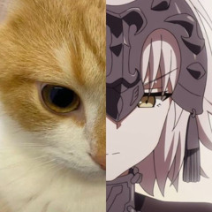 ZENXOW - JALTER ?? (PATREON EXCLUSIVE)