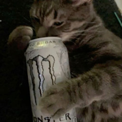 ho quittato le monster :(