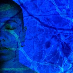 HOME - AZIZA Live Session