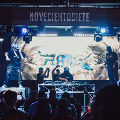 ZUBGENESIS - DALE WOGGY