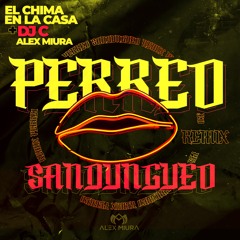 Perreo Sandungueo (Alex Miura Remix)