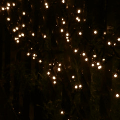 Hold My Hand (silver +filip)