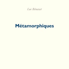 Luc Bénazet une bande son de travail, 3 minutes et 16 secondes  - Métamorhiques
