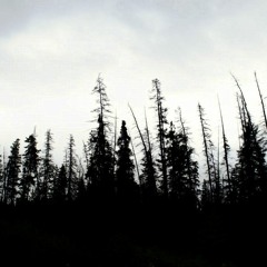 background hd (FREE DOWNLOAD)