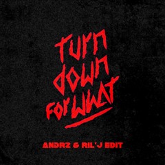 Turn Down For What (Andrz & Ril'J Edit)