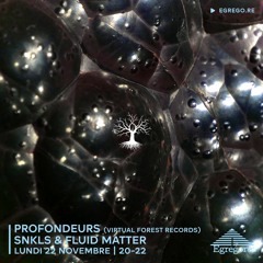 Profondeurs - SNKLS & Fluid Matter (Novembre 2021)