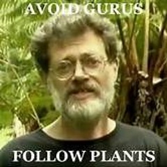wise words from terrance mckenna