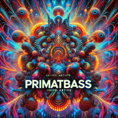 VISITEUR 144BPM (TRIBE)(TEKNO) (KORG E2B)