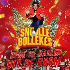 Snollebollekes - Beuk de ballen uit de boom (Code11 & Nachtvlinders Remix)