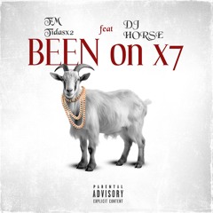 Been on x7 feat DJ HORSE
