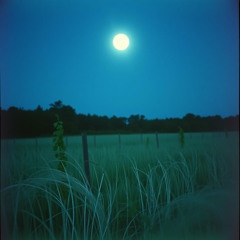 Meadow Moons