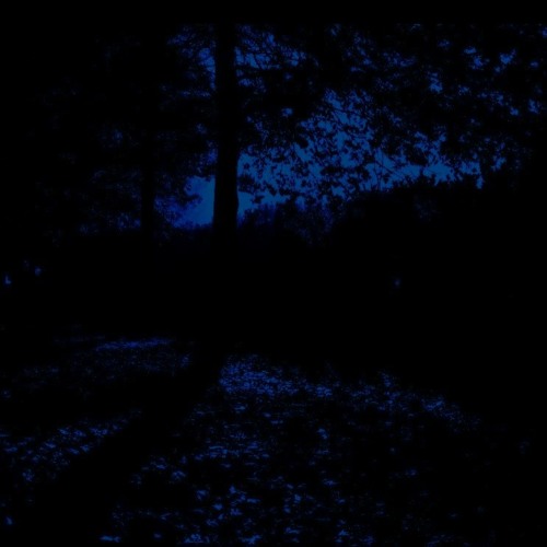 Obscure words - Voci confuse si affastellano nell'ombra...