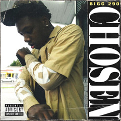 Bigg 290 - Chosen