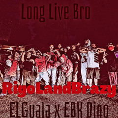 long live (Elguala x EBK Dino)