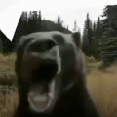 DUBS DUBS REVOLUTION