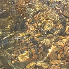 i'll see you in my dreams