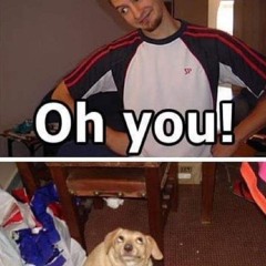 LGET 2 - Safe Spot / Synchronicity