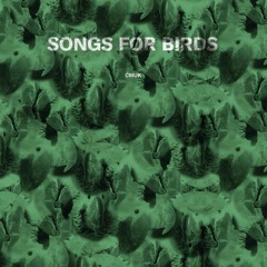 Songs For Birds, Side A