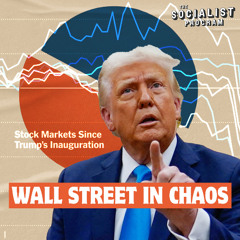 Stock Market Chaos Amid Trump’s Billionaire Family Feud w/ Prof. Richard Wolff