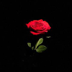 Had 2 p.  @Mer$y @pblaz3up