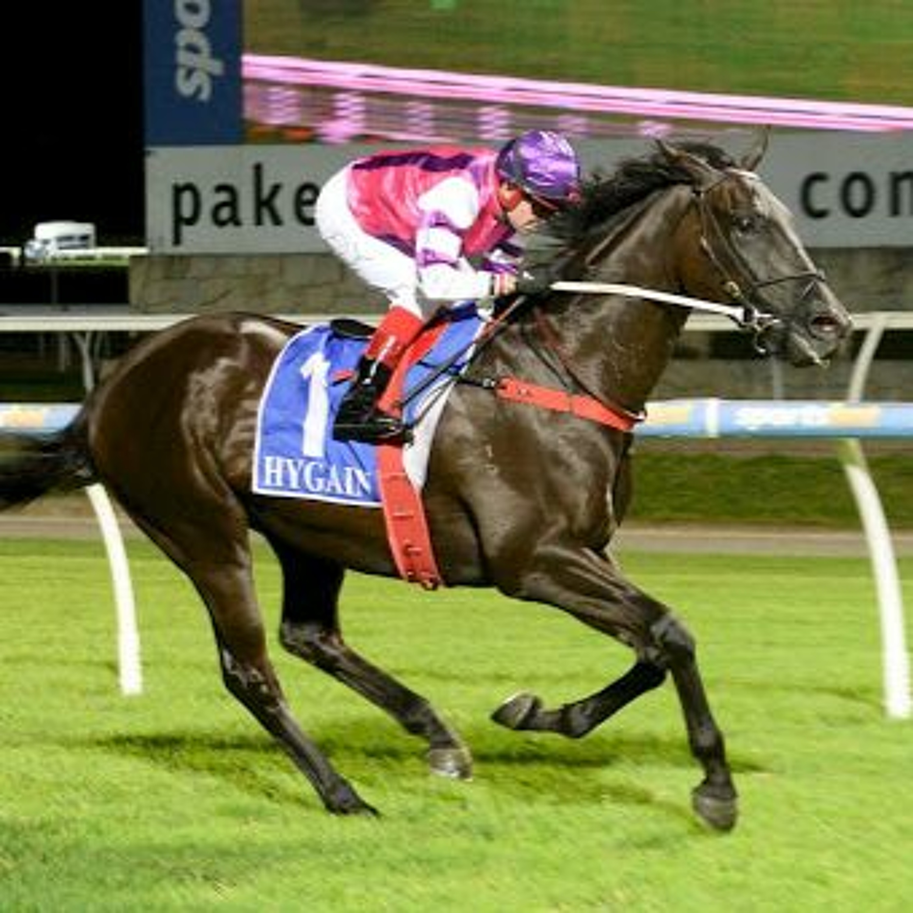 Sandown 3rd Of March Midweek Punting Preview