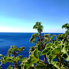 Smell Of Summer That Goes Away (E.Roca)