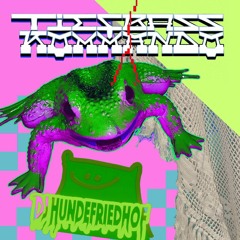 Tiefbasskommando X DJ HUNDEFRIEDHOF - ENERGIE (prod By RETADO)