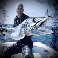 barrakuda (h1jaxk x rebort)