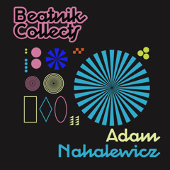 Beatnik Collects 014 // Adam Nahalewicz