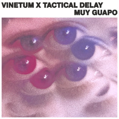 Vinetum & Tactical Delay - Muy Guapo