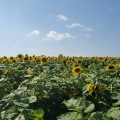 You Know My Name by Tasha Cobbs Leonard (Cover)