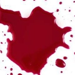 THE MONSTER REFLECTED IN THE BLOODSTAINED SHEETS THE PATRICK BATEMAN JR MEMOIRS OF THE OBSESSED KILL