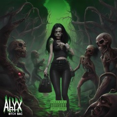Alyx bitch bag