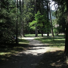 Seq05mkkww     Tremors  And  Fears - Tremori e  Paure