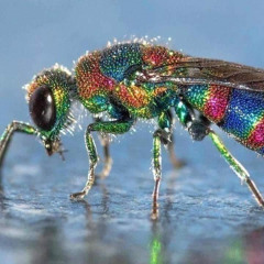 The Flow of Liquids!