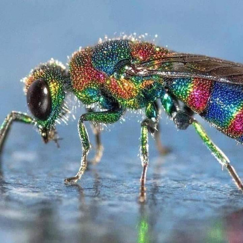 The Flow of Liquids!