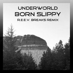 Underworld - Born Slippy (R.E.E.V. Breaks Remix) *Free Download*