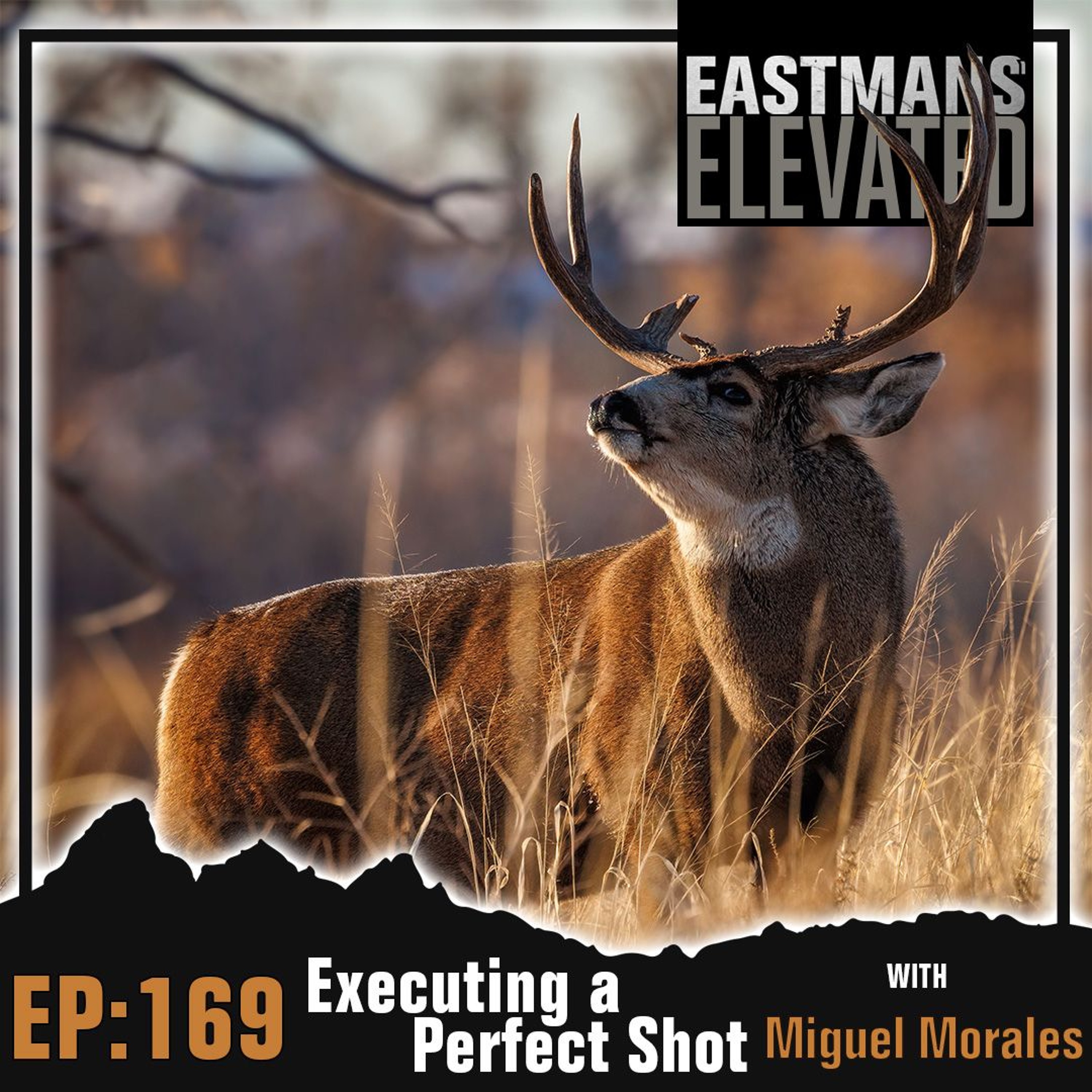 Episode 169: Executing a Perfect Shot with Miguel Morales