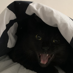 FRIENDSHIPMAN - Go Away Session (unmixed).mp3